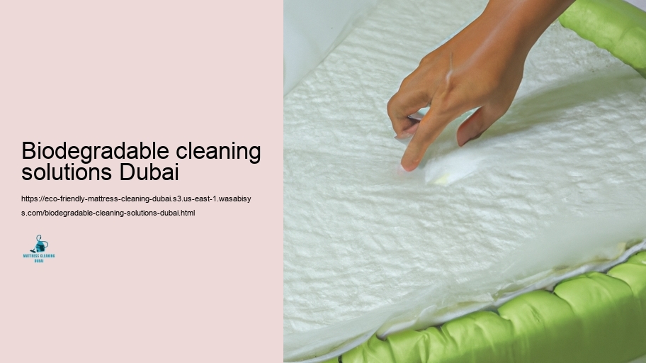 Leading Environmentally friendly Cushioning Cleansing Strategies in Dubai