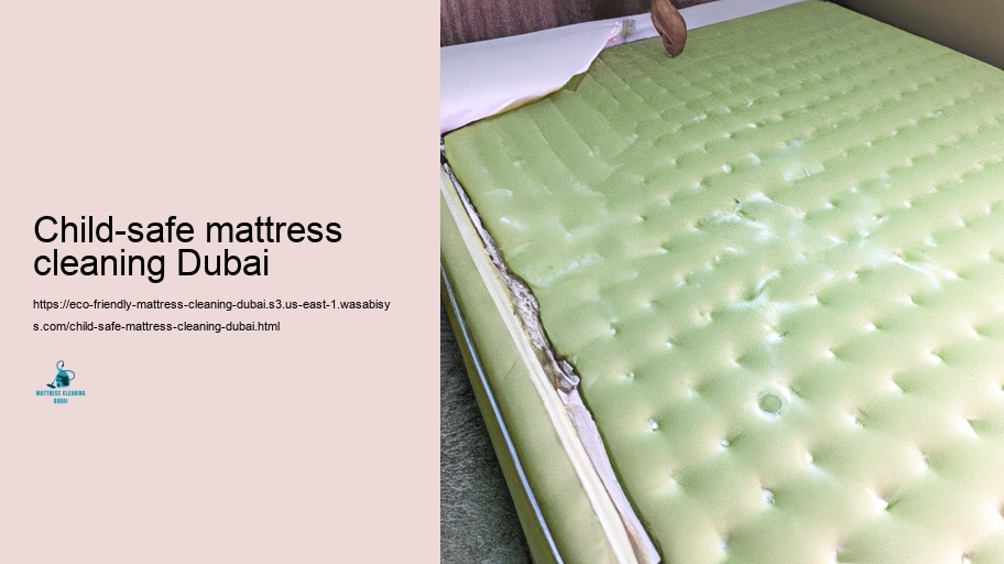 Leading Environment-friendly Bed Bed cushion Cleaning up Strategies in Dubai