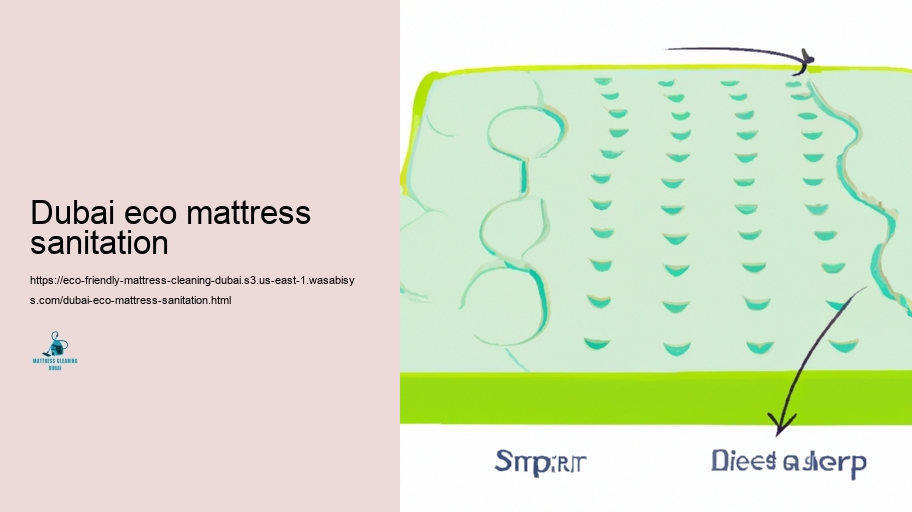Leading Environmentally friendly Bed mattress Cleaning up Strategies in Dubai