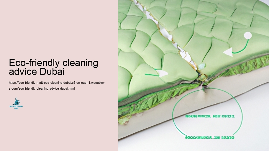 Leading Eco-friendly Bed cushion Cleaning Techniques in Dubai