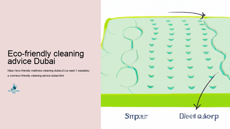 Picking the Right Eco-Friendly Cleansing Products
