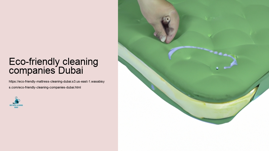 Leading Eco-friendly Bed mattress Cleansing Techniques in Dubai