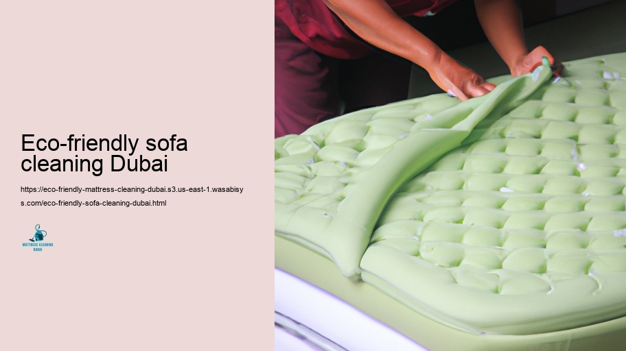 Leading Green Pillow Cleansing Approaches in Dubai