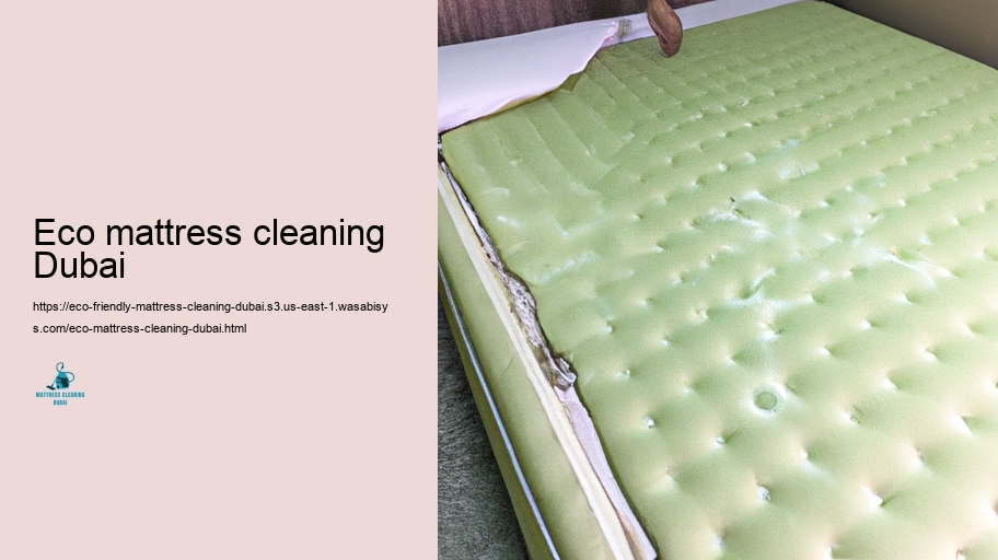 Leading Eco-Friendly Padding Cleansing Methods in Dubai