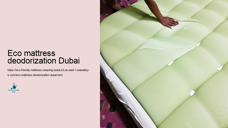 Leading Eco-friendly Cushion Cleansing Approaches in Dubai