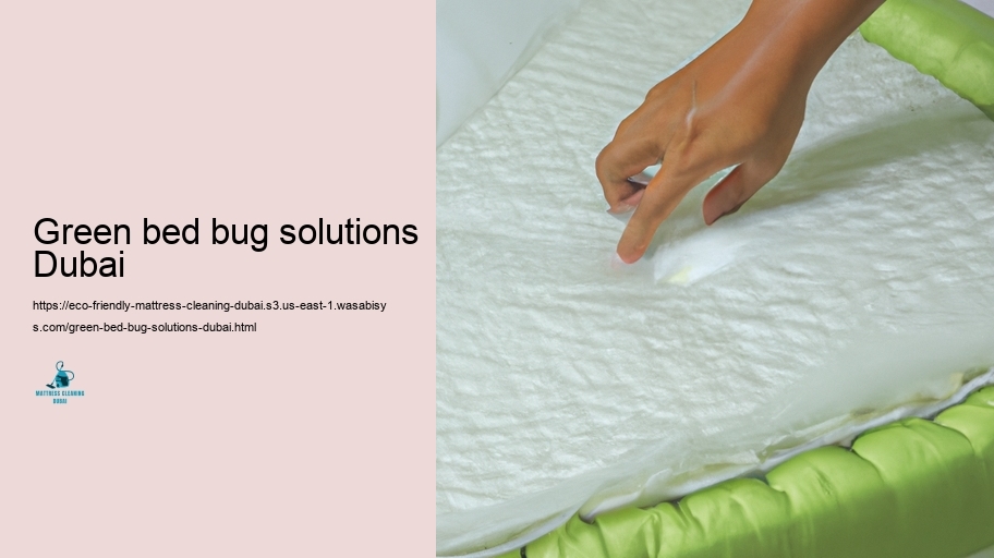 Top Eco-friendly Bed mattress Cleaning Methods in Dubai
