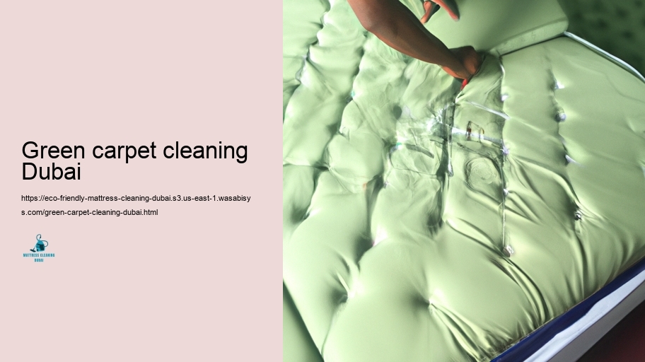 Leading Eco-Friendly Padding Cleaning Strategies in Dubai
