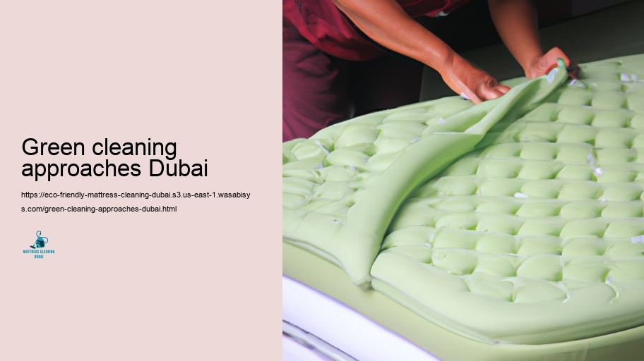 Leading Environment-friendly Cushion Tidying up Methods in Dubai