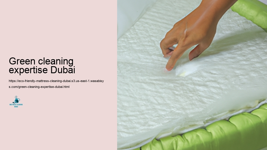 Leading Environment-friendly Bed Padding Cleaning Strategies in Dubai