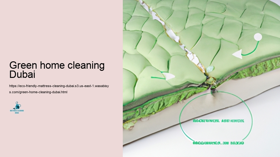 Leading Green Bed Padding Cleaning up Methods in Dubai