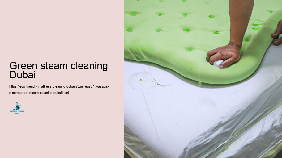 Leading Eco-friendly Bed bed mattress Cleansing Approaches in Dubai