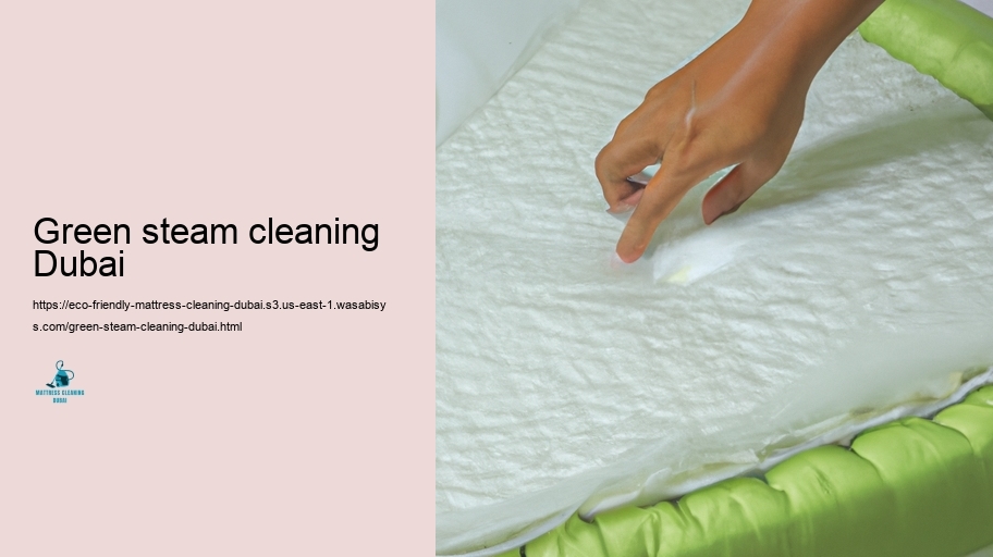Choosing the Right Eco-Friendly Cleaning Products