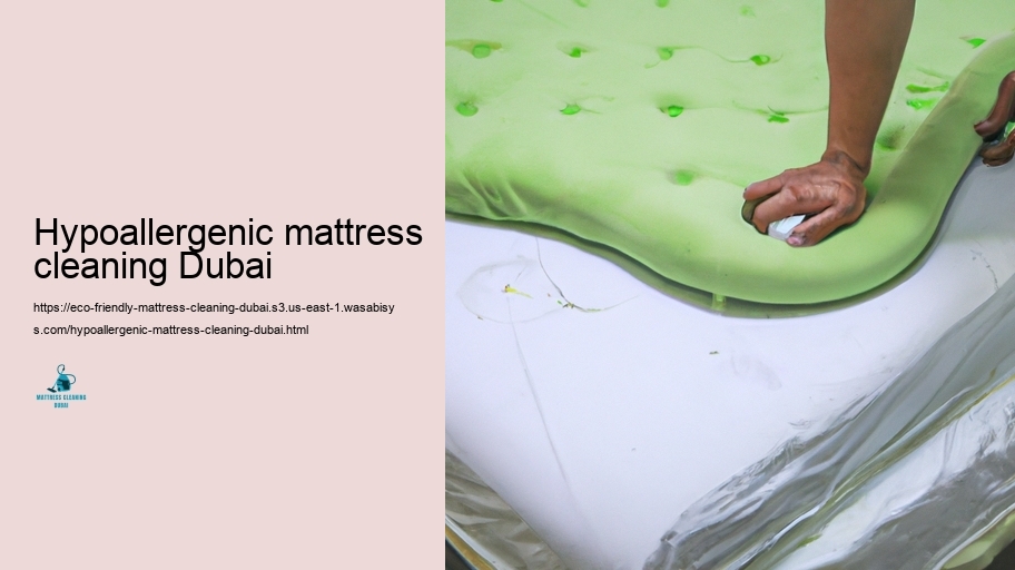 Leading Environment-friendly Bed mattress Cleaning Techniques in Dubai