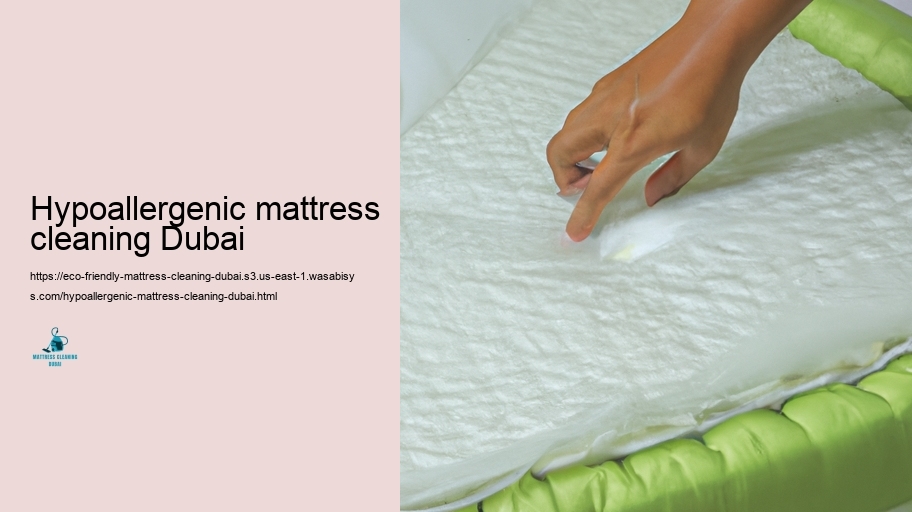 Detailed Overview to Eco-Friendly Mattress Upkeep