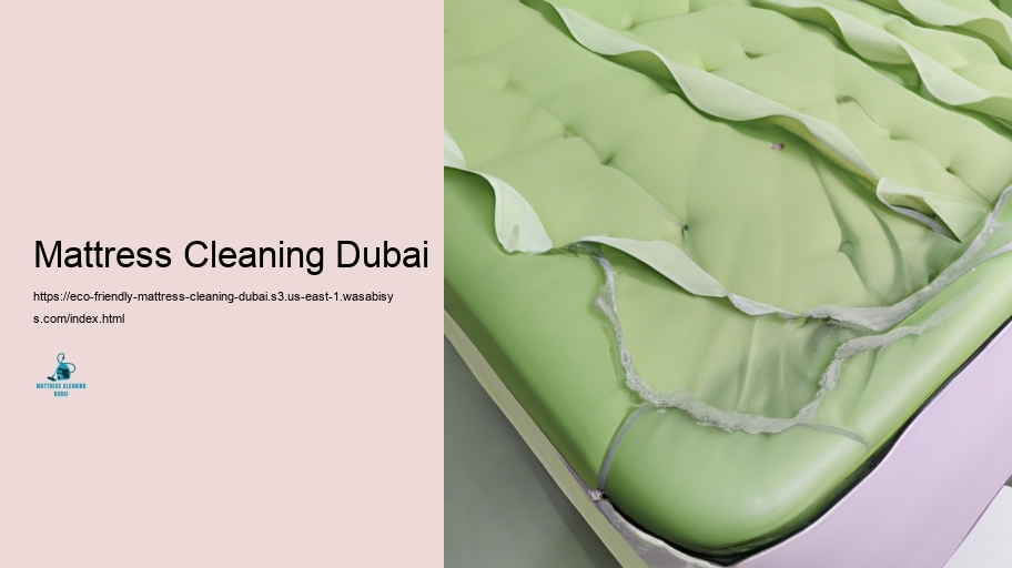 Leading Eco-friendly Cushion Cleaning Approaches in Dubai
