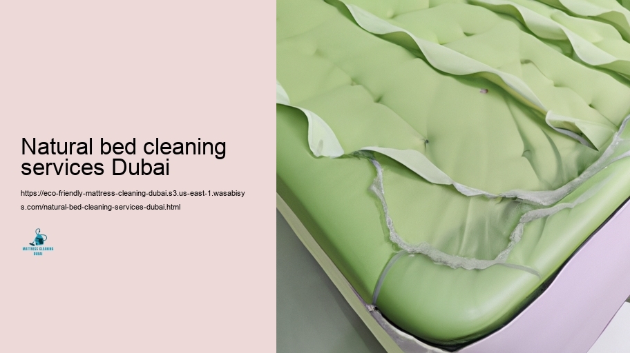 Top Environmentally friendly Cushioning Cleaning up Strategies in Dubai