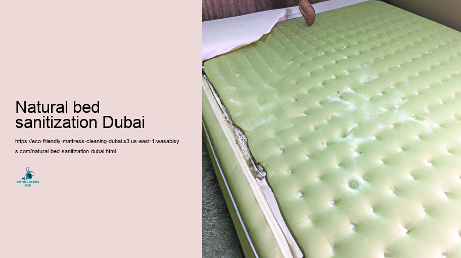 Leading Green Bed mattress Cleaning up Strategies in Dubai