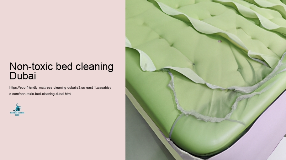 Leading Eco-friendly Padding Cleansing Approaches in Dubai