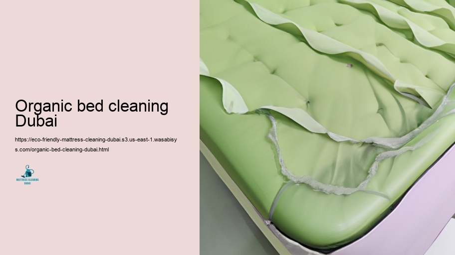 Leading Environmentally friendly Padding Cleaning Methods in Dubai