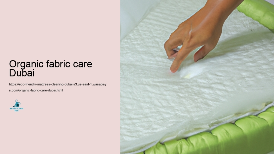 Step-by-Step Guide to Eco-Friendly Cushion Maintenance
