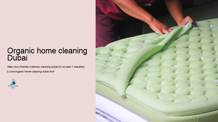Leading Environmentally friendly Bed Pillow Cleaning Strategies in Dubai