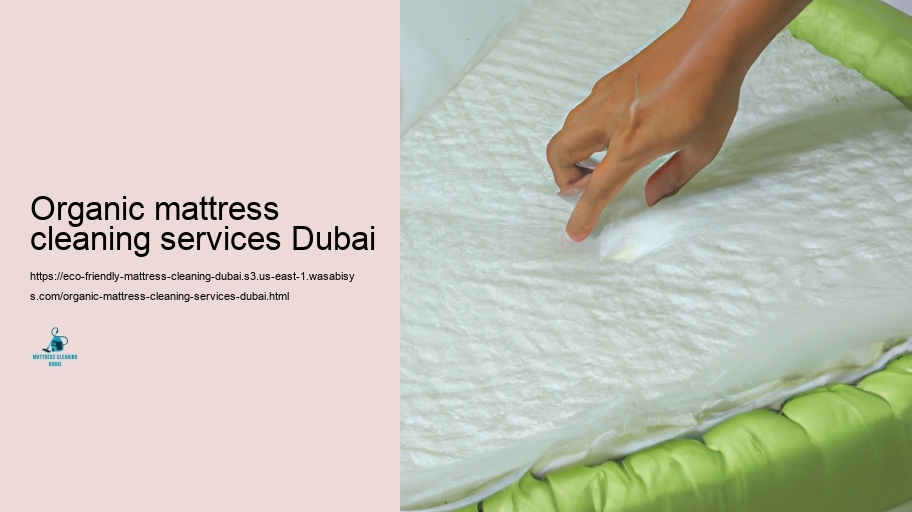 Leading Green Bed Bed bed mattress Cleaning Strategies in Dubai