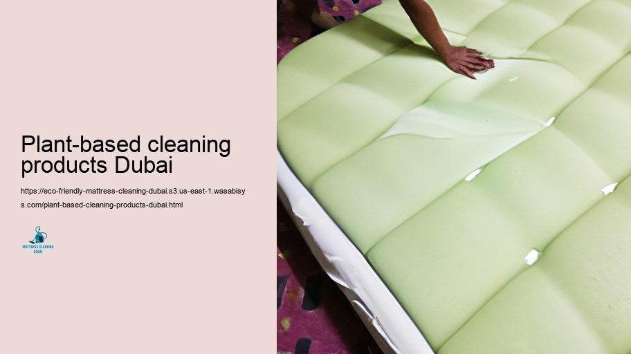 Leading Environment-friendly Padding Cleaning up Methods in Dubai