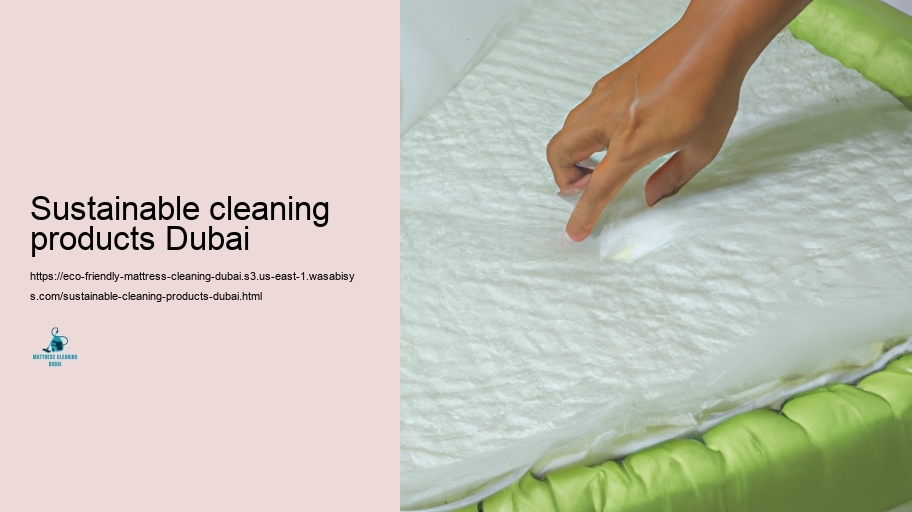Leading Green Padding Cleansing Methods in Dubai
