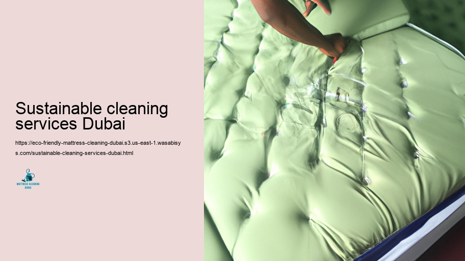 Leading Green Cushioning Cleaning Strategies in Dubai