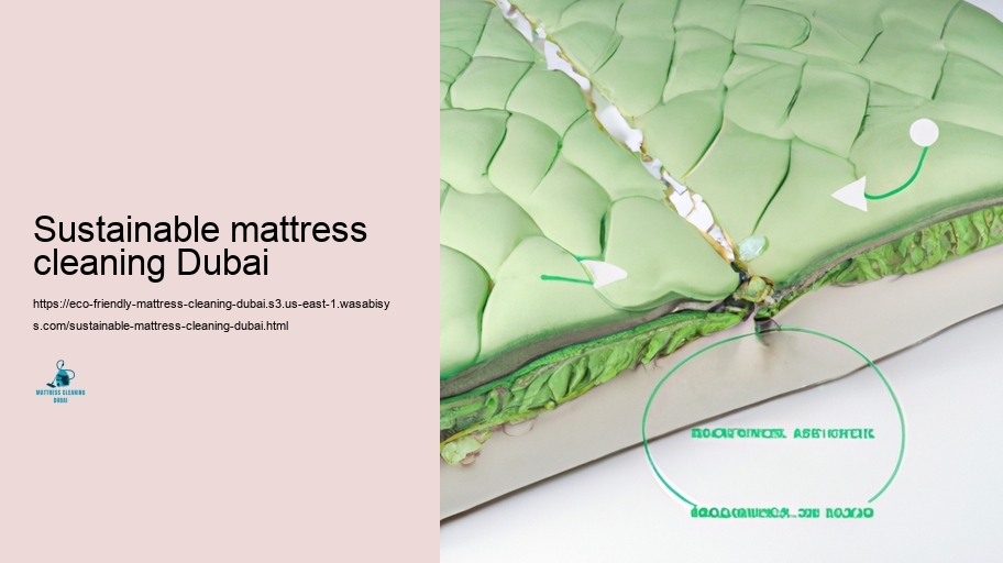 Detailed Overview to Eco-Friendly Bed Bed mattress Upkeep