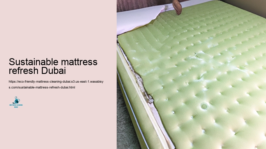 Leading Environmentally friendly Mattress Cleaning Techniques in Dubai