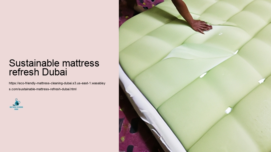 Detailed Summary to Eco-Friendly Bed bed mattress Upkeep