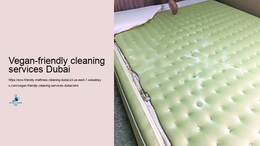 Leading Environment-friendly Pillow Cleaning Techniques in Dubai