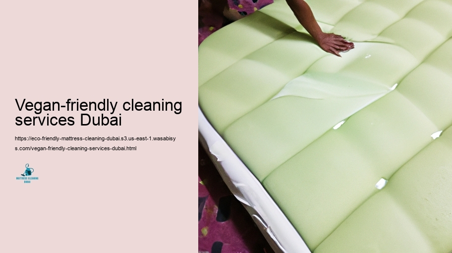 Step-by-Step Overview to Eco-Friendly Bed mattress Maintenance