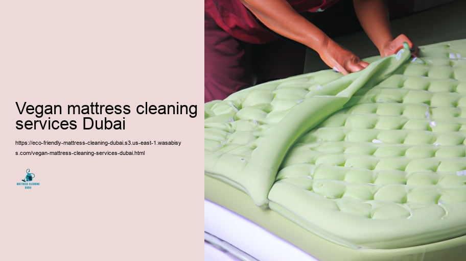 Leading Environmentally friendly Bed mattress Cleaning Methods in Dubai